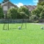 SONGMICS Fußballtor für Kinder, schnelle Montage, Garten, Park, Strand, Eisenrohre und PE-Netz, schwarz SZQ300BK - 2